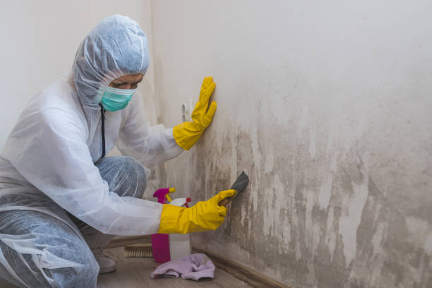 Best Water Damage Restoration  in Farmersville, TX