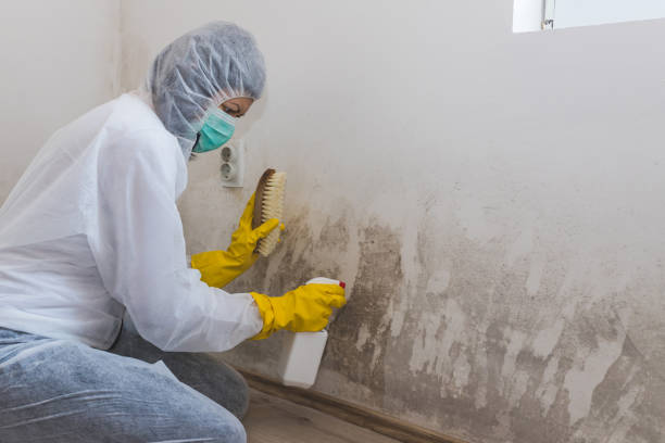 Best Mold Testing  in Farmersville, TX