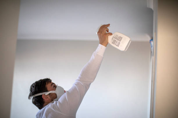 Attic Mold Removal in Farmersville, TX