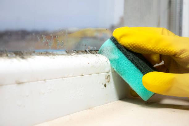 Best Mold Testing  in Farmersville, TX