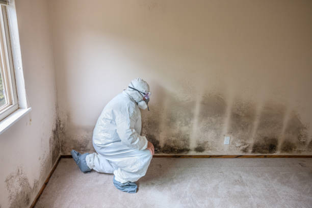 Best Professional Mold Removal  in Farmersville, TX