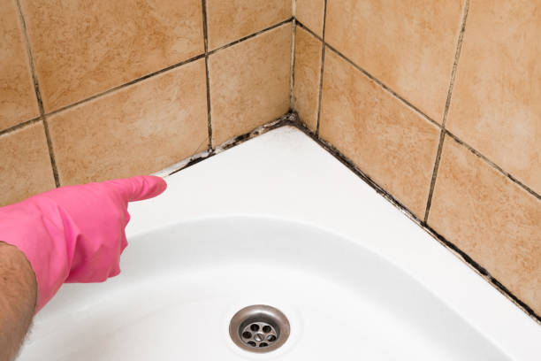 Best Mold Remediation  in Farmersville, TX